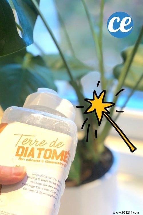 20 Amazing Uses of Diatomaceous Earth Nobody Knows About. 