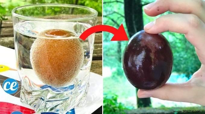 Incredible ! How to Turn a Raw Egg into a Bouncing Ball. 