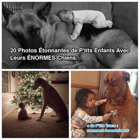 20 Amazing Photos of Little Kids With Their HUGE Dogs. 