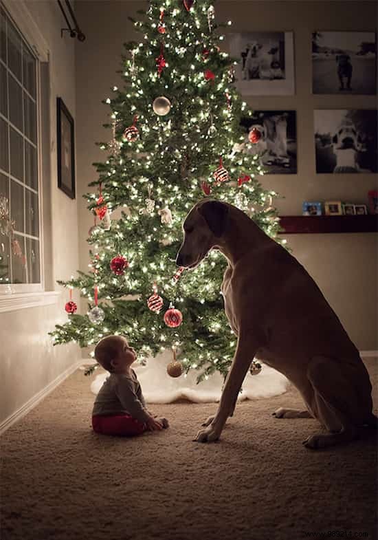 20 Amazing Photos of Little Kids With Their HUGE Dogs. 