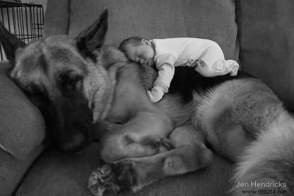 20 Amazing Photos of Little Kids With Their HUGE Dogs. 