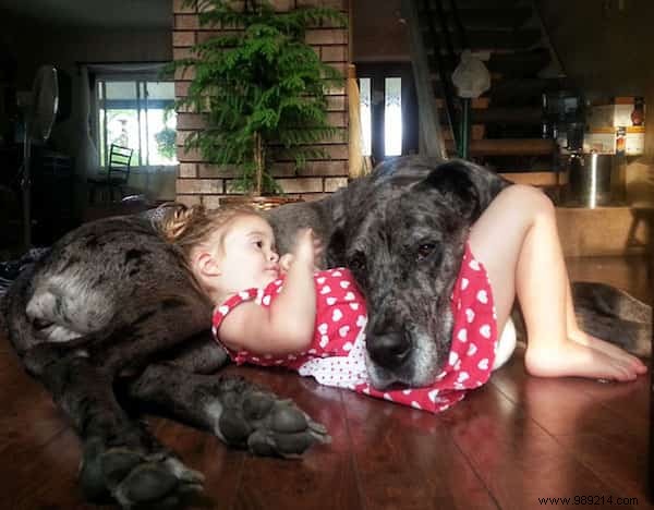 20 Amazing Photos of Little Kids With Their HUGE Dogs. 