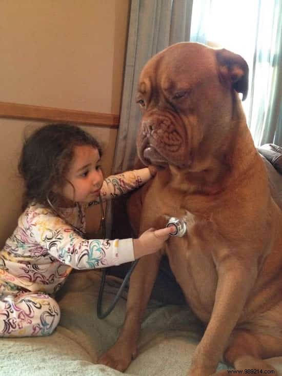 20 Amazing Photos of Little Kids With Their HUGE Dogs. 