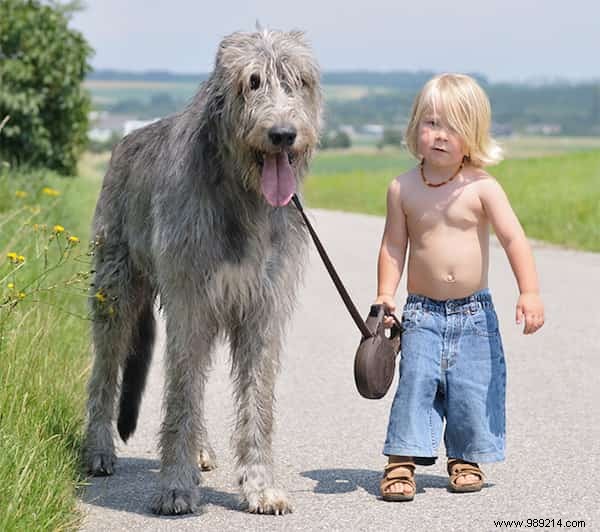 20 Amazing Photos of Little Kids With Their HUGE Dogs. 