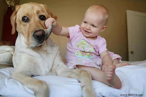 20 Amazing Photos of Little Kids With Their HUGE Dogs. 