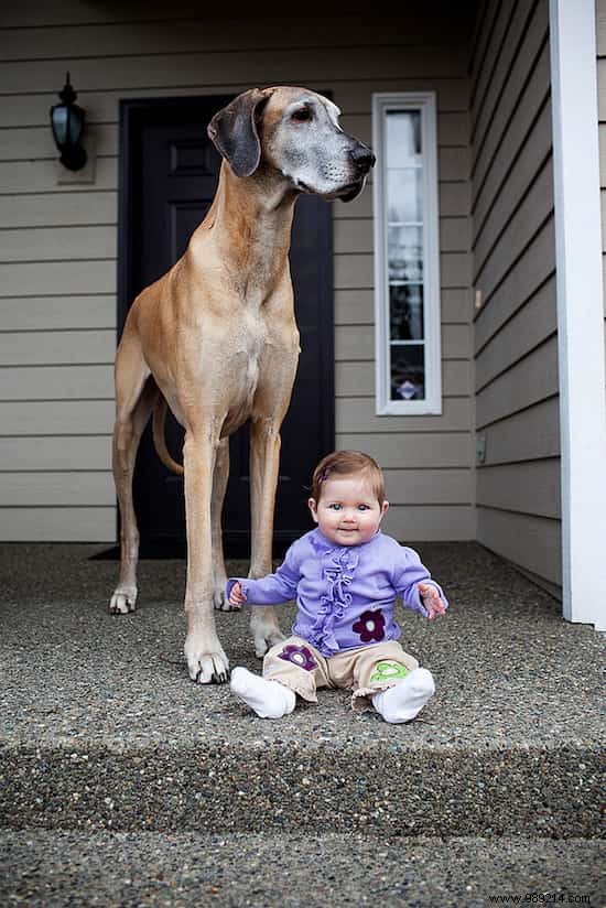 20 Amazing Photos of Little Kids With Their HUGE Dogs. 