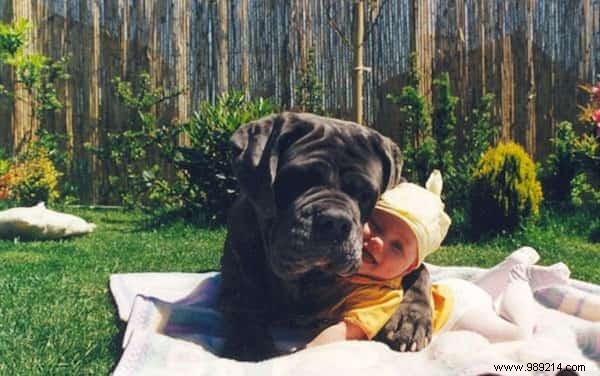 20 Amazing Photos of Little Kids With Their HUGE Dogs. 