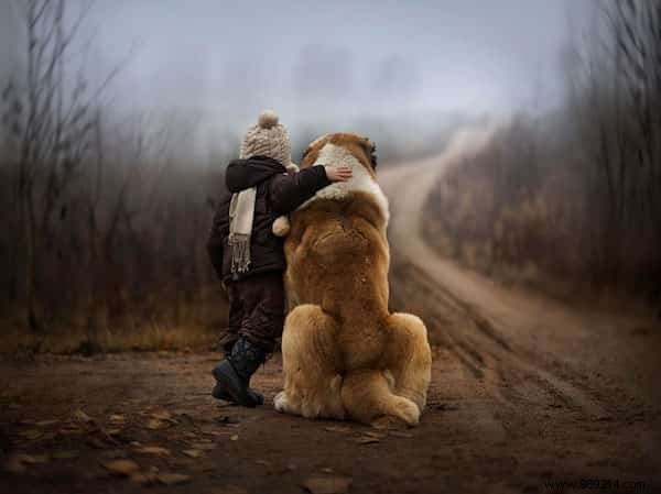 20 Amazing Photos of Little Kids With Their HUGE Dogs. 