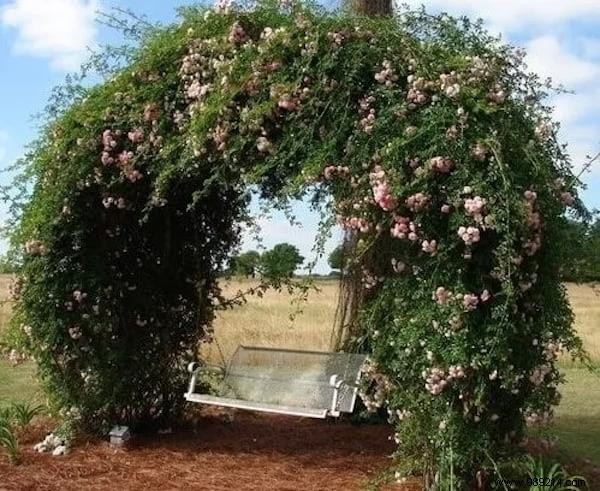 Old Trampoline:19 Ingenious Ways to Repurpose it. 