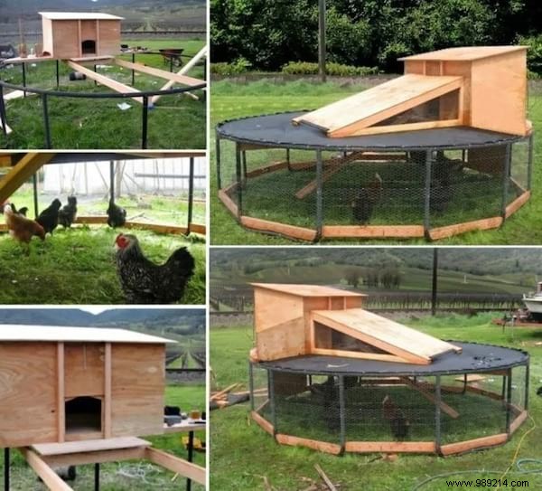 Old Trampoline:19 Ingenious Ways to Repurpose it. 