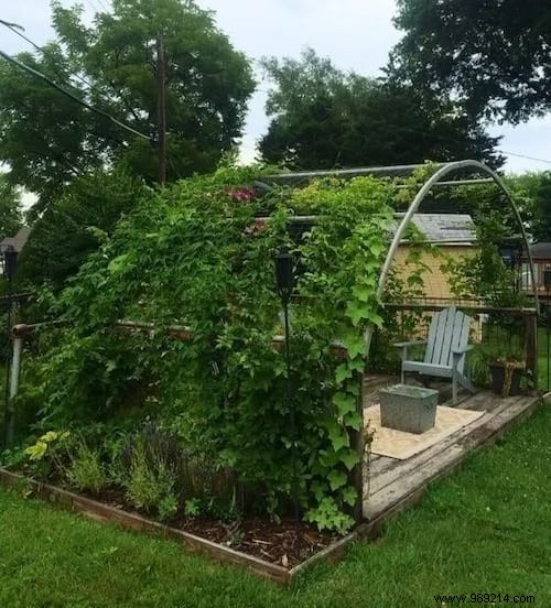 Old Trampoline:19 Ingenious Ways to Repurpose it. 