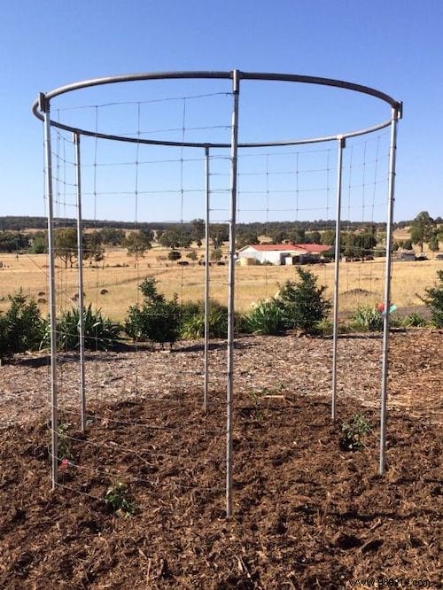 Old Trampoline:19 Ingenious Ways to Repurpose it. 