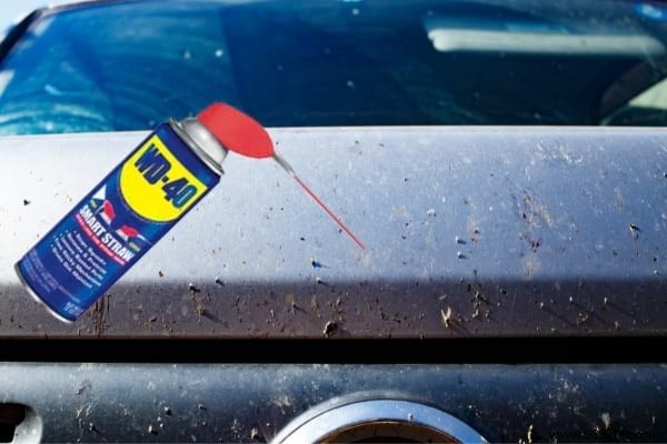 21 Uses and Tips for WD-40 You Have No Idea About! 