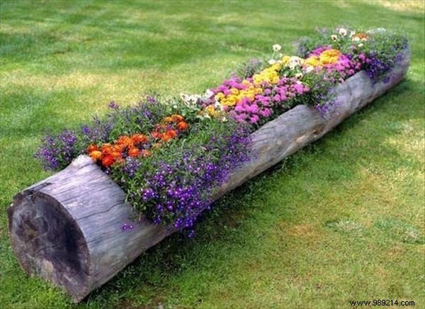 19 Super Easy and Inexpensive Ideas to Beautify Your Garden. 