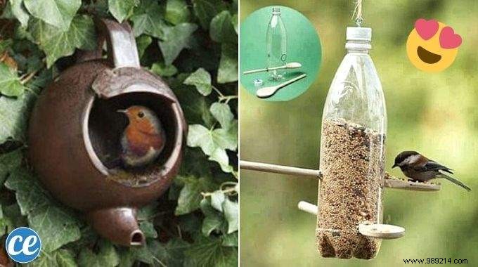 23 Easy to Make Bird Feeders for Winter. 