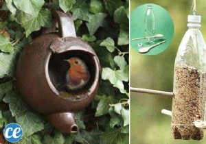 23 Easy to Make Bird Feeders for Winter. 