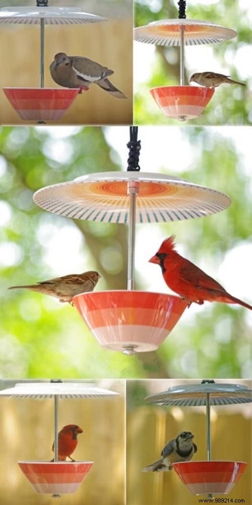 23 Easy to Make Bird Feeders for Winter. 