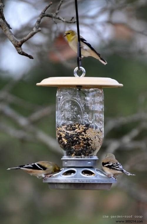 23 Easy to Make Bird Feeders for Winter. 