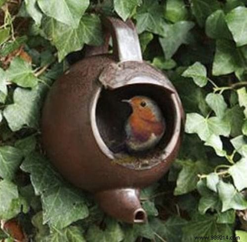 23 Easy to Make Bird Feeders for Winter. 