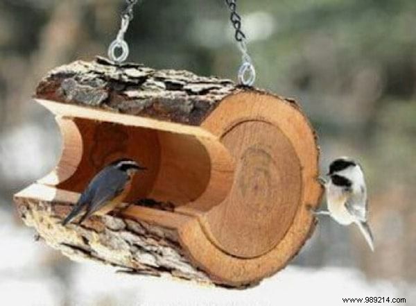 23 Easy to Make Bird Feeders for Winter. 