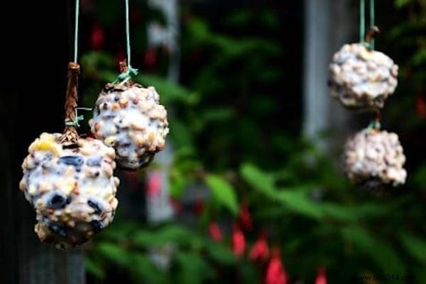 23 Easy to Make Bird Feeders for Winter. 