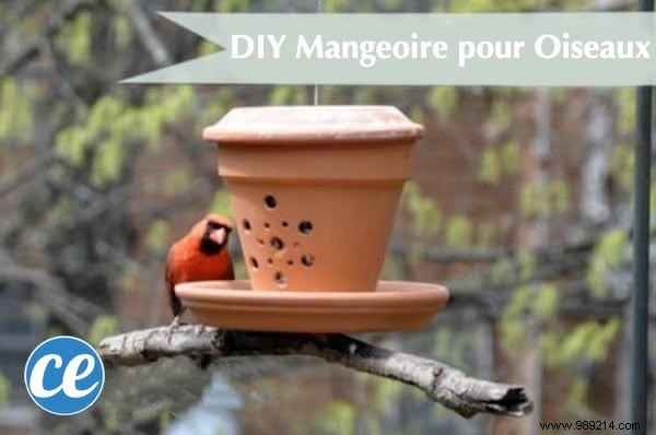 23 Easy to Make Bird Feeders for Winter. 