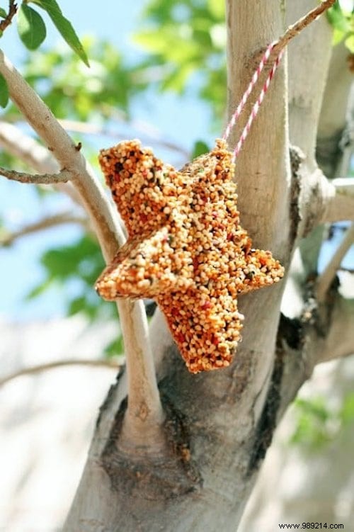 23 Easy to Make Bird Feeders for Winter. 