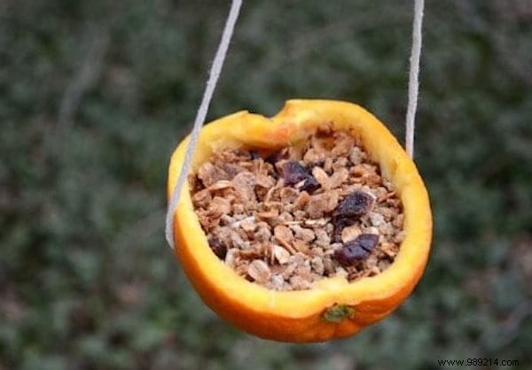 23 Easy to Make Bird Feeders for Winter. 