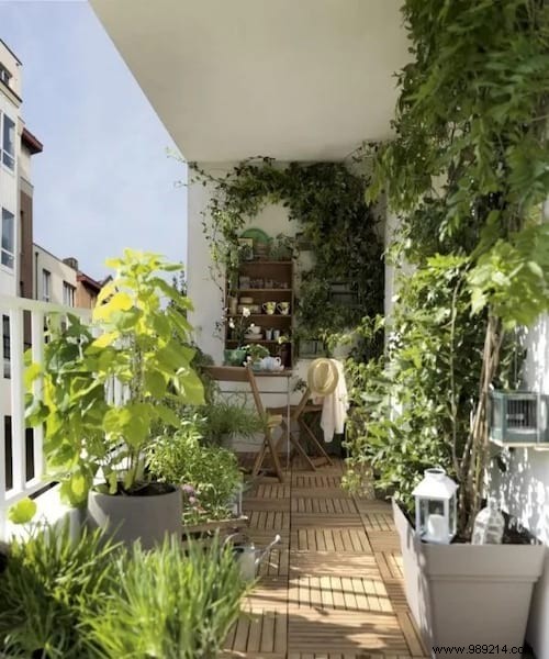 Balcony:25 Inexpensive Decoration Ideas Revealed By A Landscaper. 