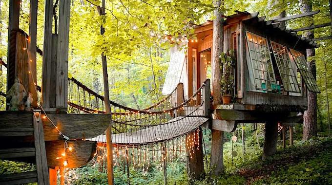 This Stunning Tree House Won t Leave You With Wood! 