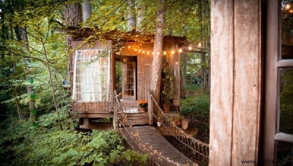 This Stunning Tree House Won t Leave You With Wood! 