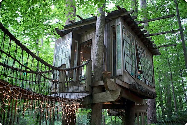 This Stunning Tree House Won t Leave You With Wood! 