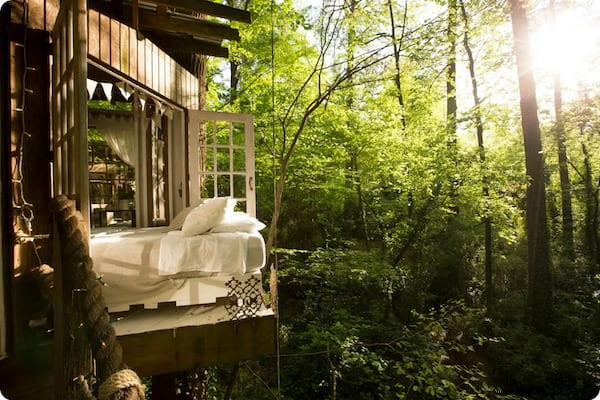 This Stunning Tree House Won t Leave You With Wood! 