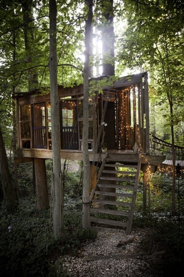 This Stunning Tree House Won t Leave You With Wood! 