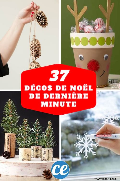 37 Last-Minute Christmas Decorations (Easy and Cheap). 