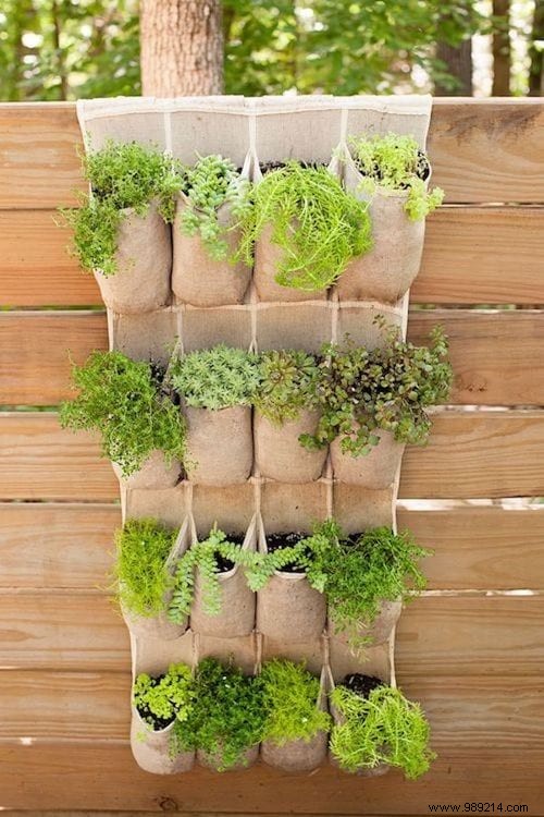 28 Great Ideas To Beautify Your Garden Easily. 