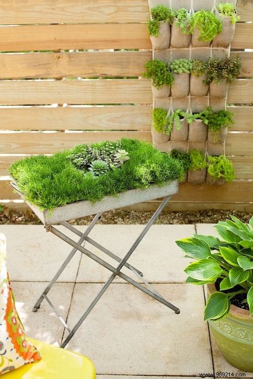 28 Great Ideas To Beautify Your Garden Easily. 