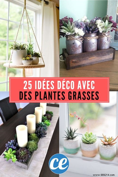 25 Great Decoration Ideas With Succulents. 