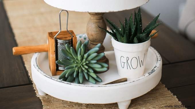 25 Great Decoration Ideas With Succulents. 