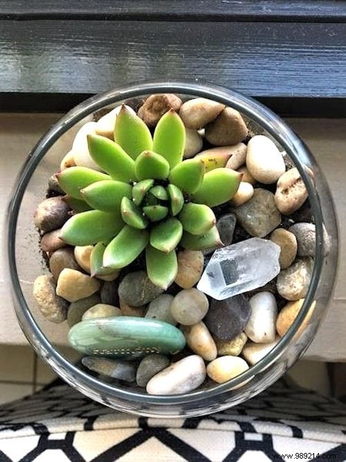 25 Great Decoration Ideas With Succulents. 