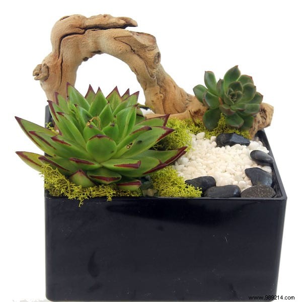 25 Great Decoration Ideas With Succulents. 