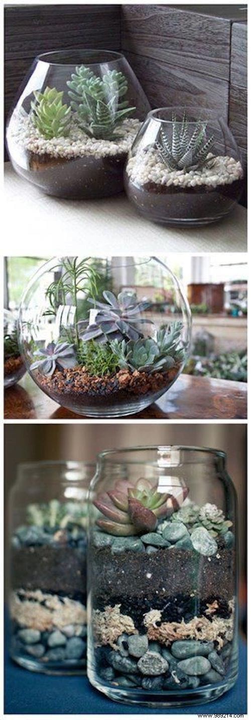 25 Great Decoration Ideas With Succulents. 