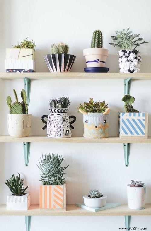 25 Great Decoration Ideas With Succulents. 