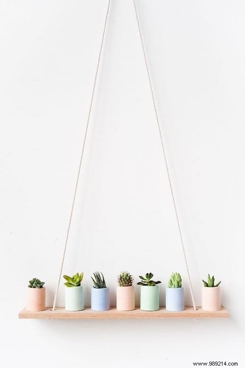 25 Great Decoration Ideas With Succulents. 