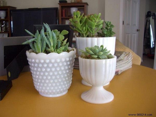 25 Great Decoration Ideas With Succulents. 