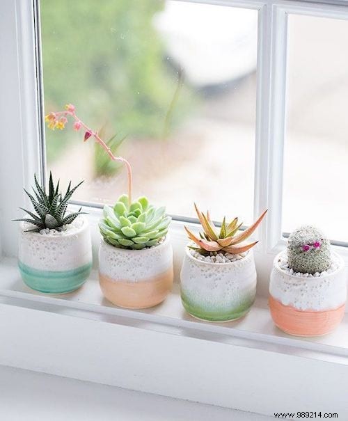 25 Great Decoration Ideas With Succulents. 