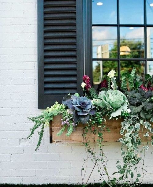 25 Great Decoration Ideas With Succulents. 