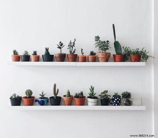 25 Great Decoration Ideas With Succulents. 