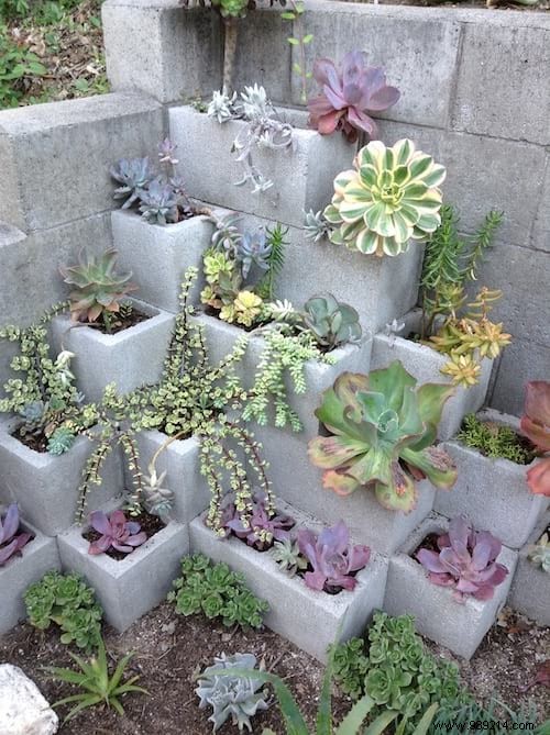 25 Great Decoration Ideas With Succulents. 