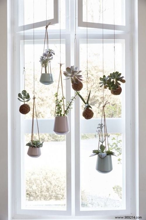 25 Great Decoration Ideas With Succulents. 